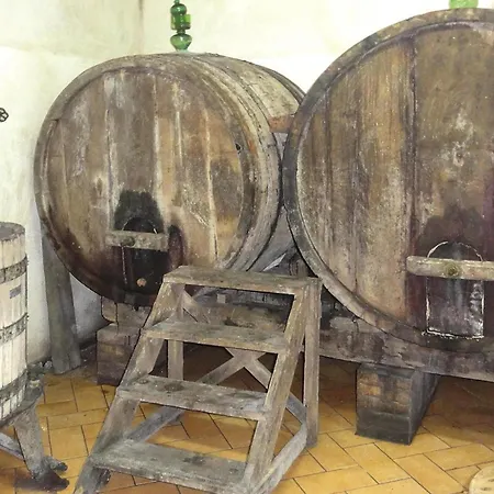 Morosi, * Lamporecchio